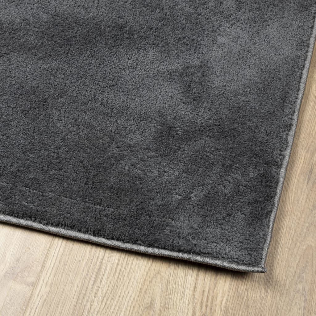 Rug OVIEDO Short Pile Anthracite 240 x 340 cm
