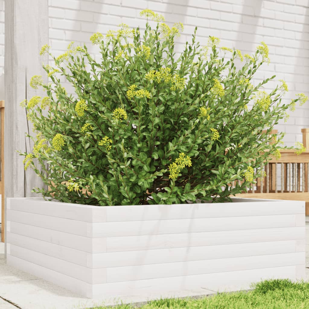 Garden Planter Solid Wood Pine Open Bottom Height 23 cm White 70 cm 70 cm