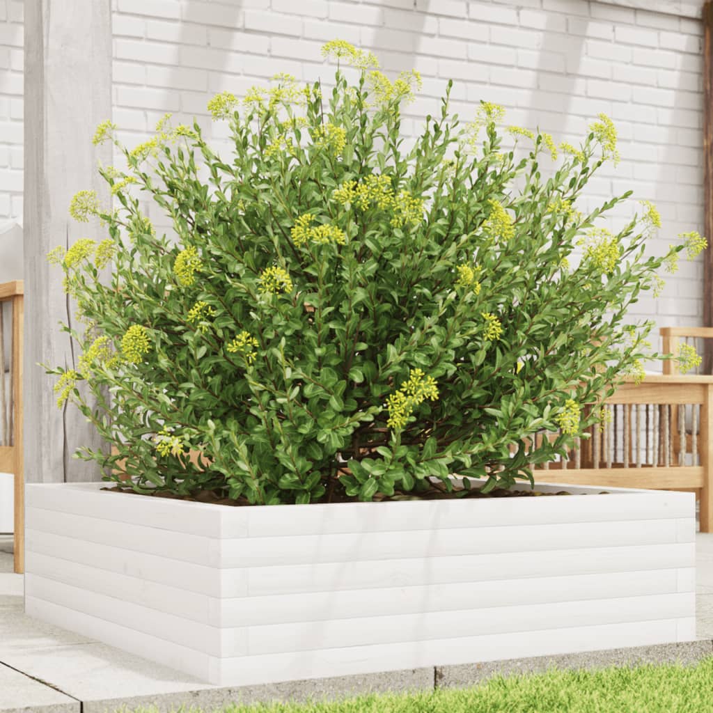 Garden Planter Solid Wood Pine Open Bottom Height 23 cm White 80 cm 80 cm
