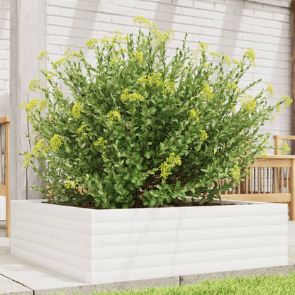 Garden Planter Solid Wood Pine Open Bottom Height 23 cm White 80 cm 80 cm