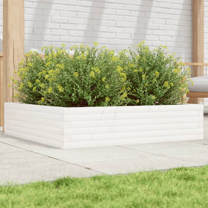 Garden Planter Solid Wood Pine Open Bottom Height 23 cm White 100 cm 100 cm