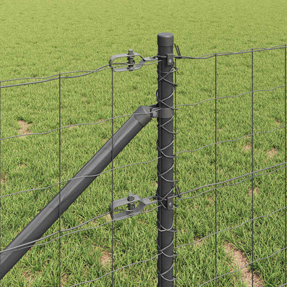 Euro Fence with Spikes 10 x 1 m PVC-Coated Steel Mesh Spike Anchor Fix Grey mesh Size 100 x 100 mm mesh 0.8 m