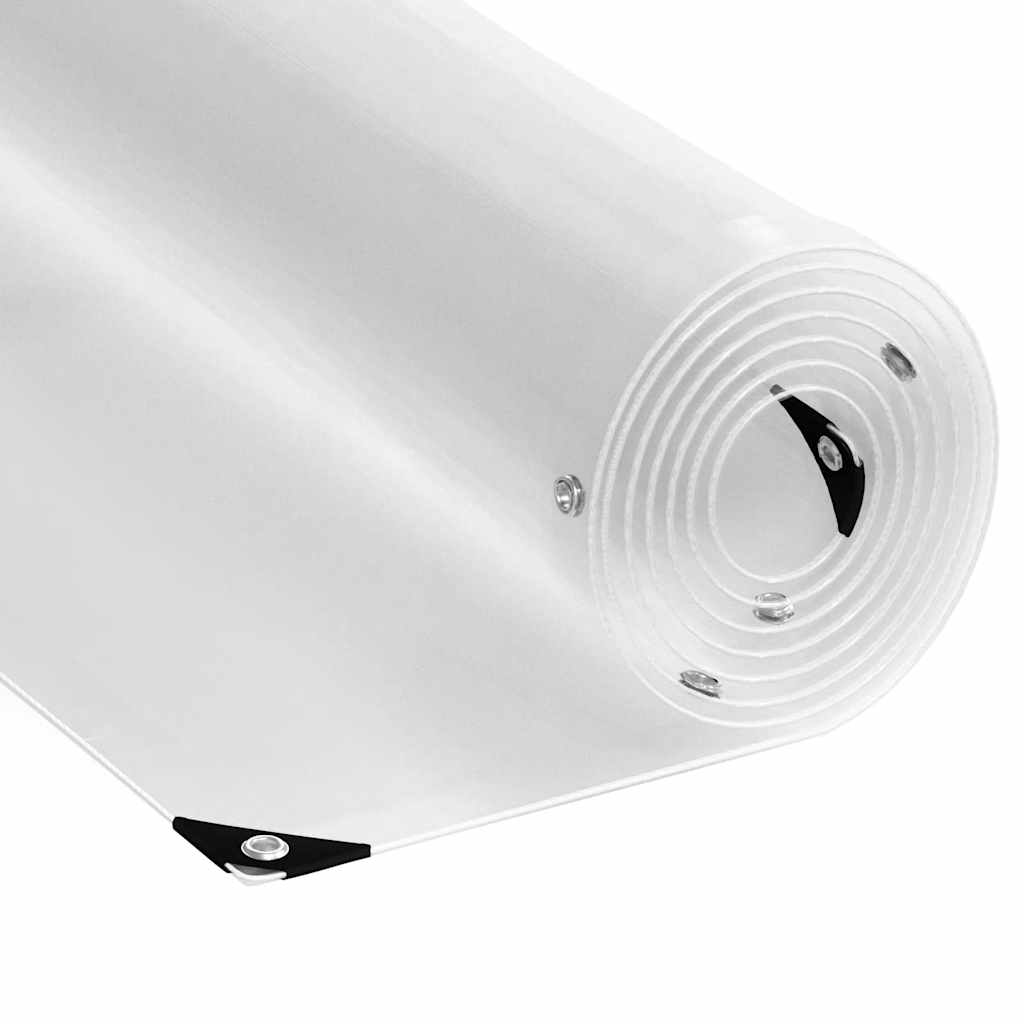 Clear Tarpaulin with Eyelets PVC Width 4 m 6 m