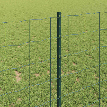Euro Fence with Post 10 x 1.2 m PVC-Coated Steel Mesh Green 10 x 1 m – 10 x 1.5 m 10 x 1 m fence (10 x 10 cm mesh)