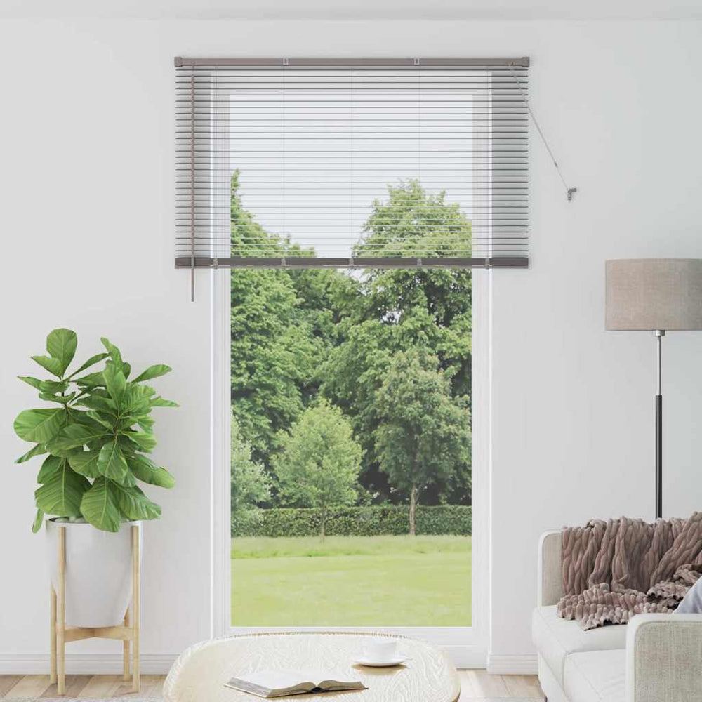 vidaXL Venetian Blind 220 x 55 cm 25 mm Aluminium Silver
