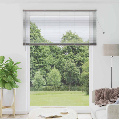 Venetian Blind 220 x 55 cm 25 mm Aluminium Silver 155 cm