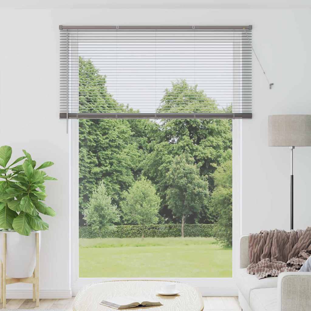Venetian Blind 220 x 55 cm 25 mm Aluminium Silver 160 cm