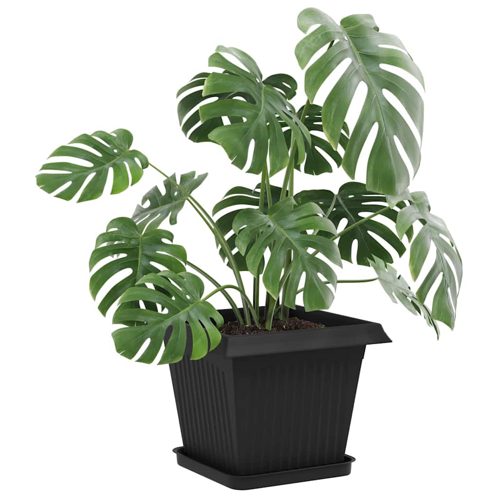 Plant Pots Plastic Black 6 pcs 33 cm 26 cm 33 cm