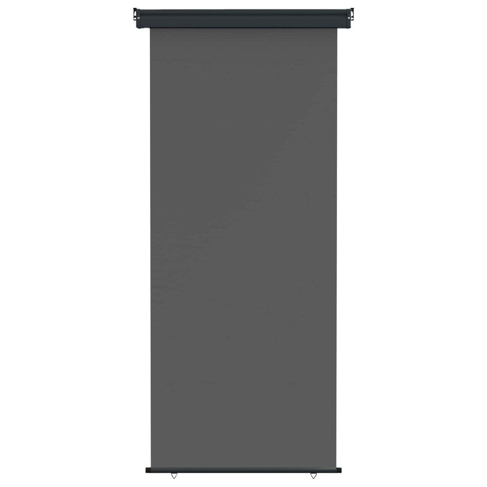 vidaXL Balcony Side Awning 105 x 250 cm