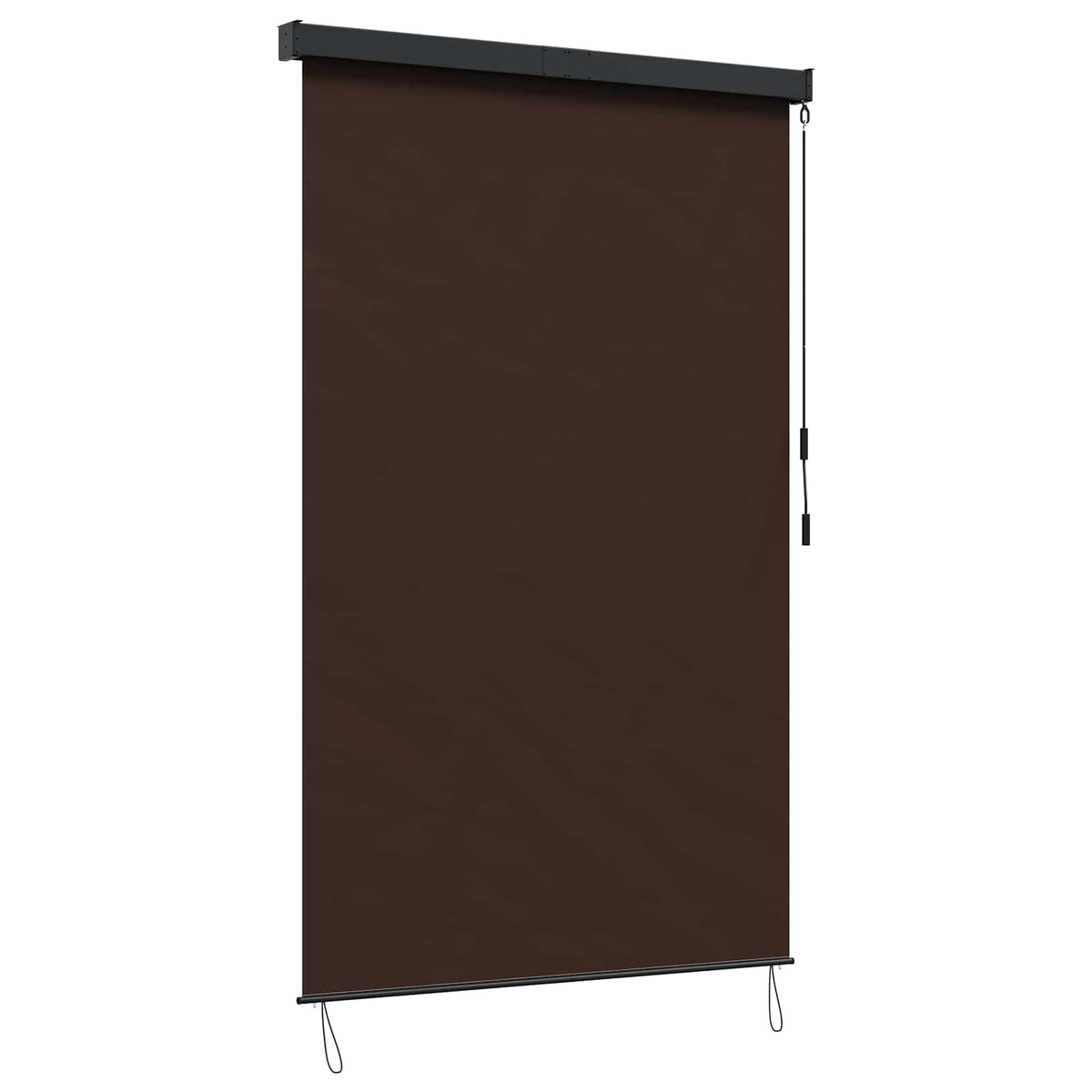 Outdoor Roller Blind 160 x 250 cm Brown