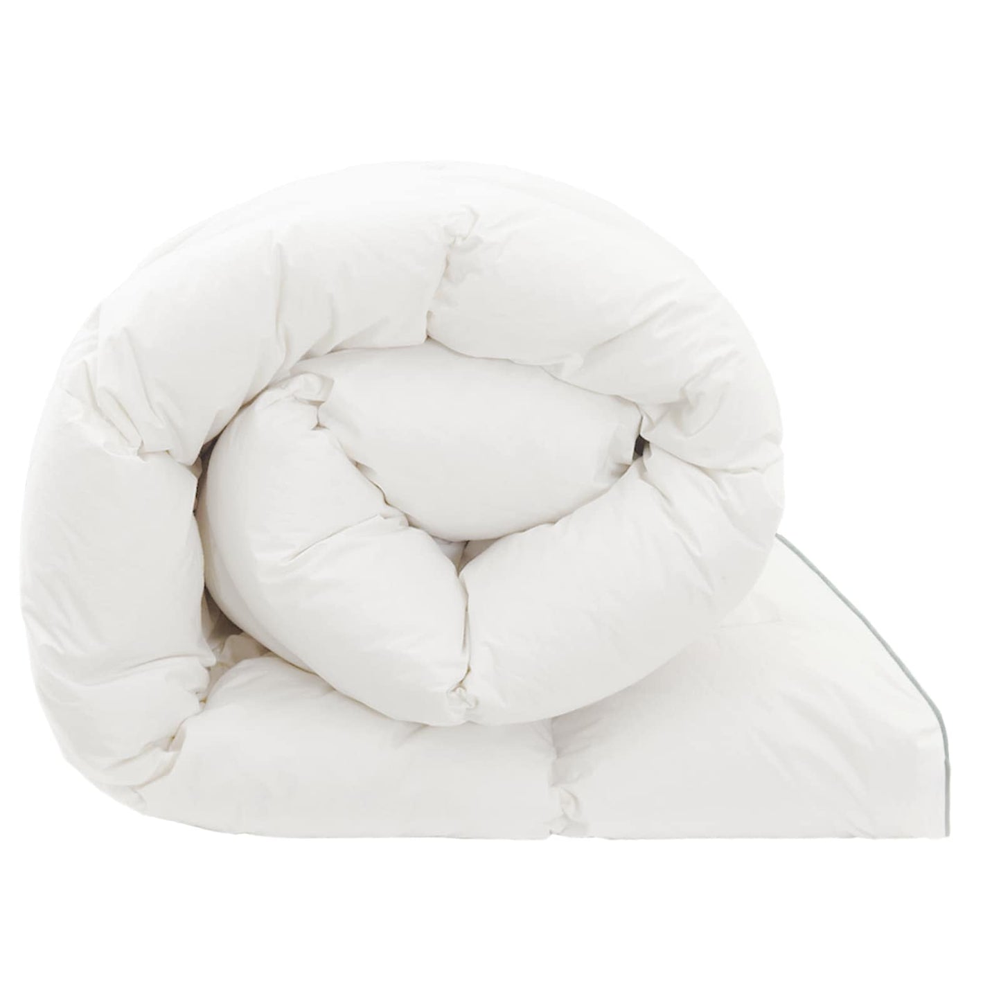 vidaXL Duvet FULDA 220 x 260 cm Winter 300 GSM 90% Goose Down White 6
