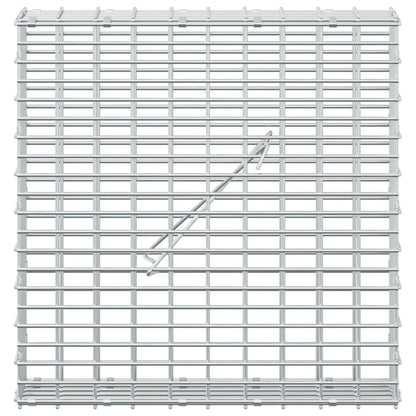 Gabion with 3.5 mm Wire and 5x2.5 cm Mesh 50x10x50 cm 50 cm