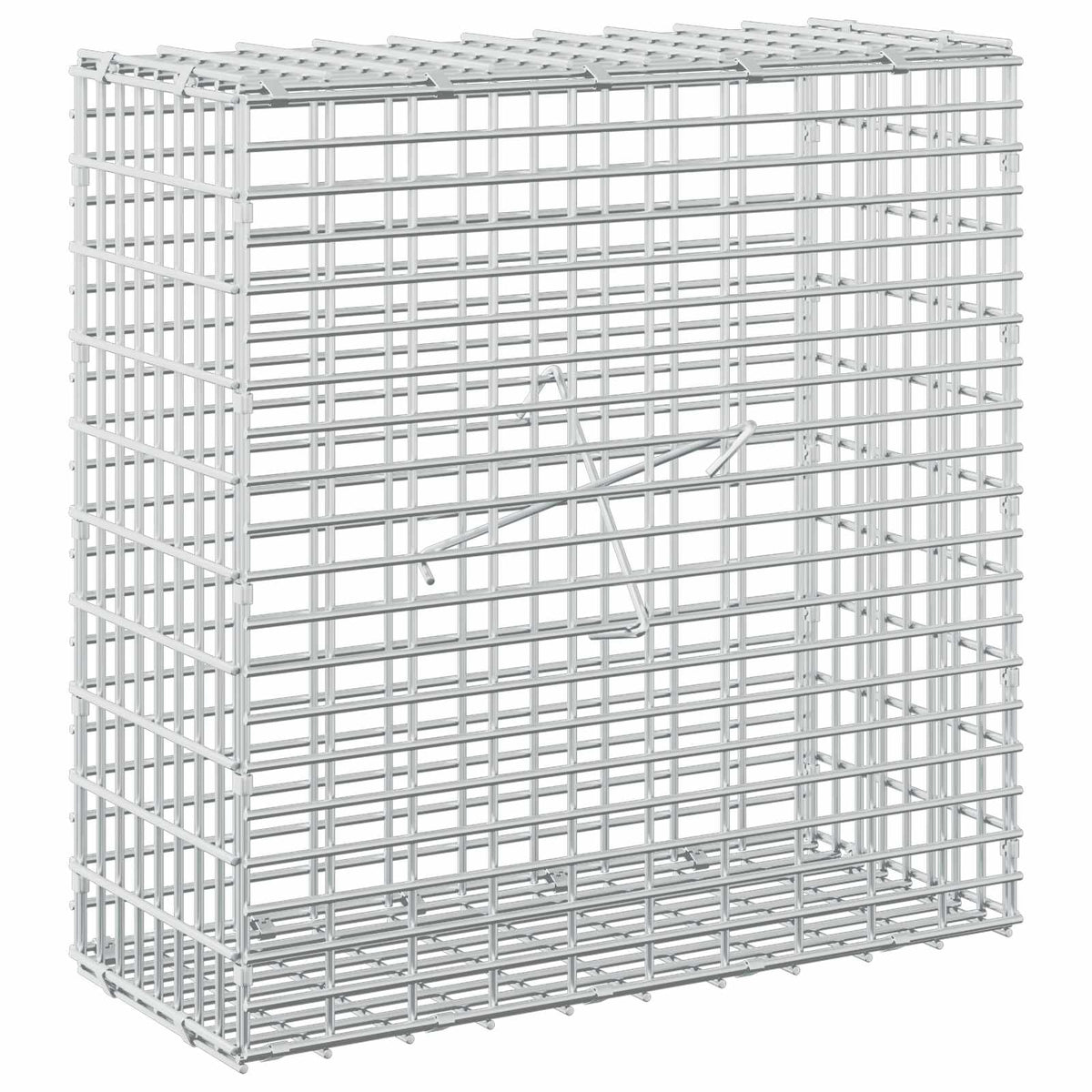 Gabion with 3.5 mm Wire and 5x2.5 cm Mesh 50x20x50 cm 50 cm