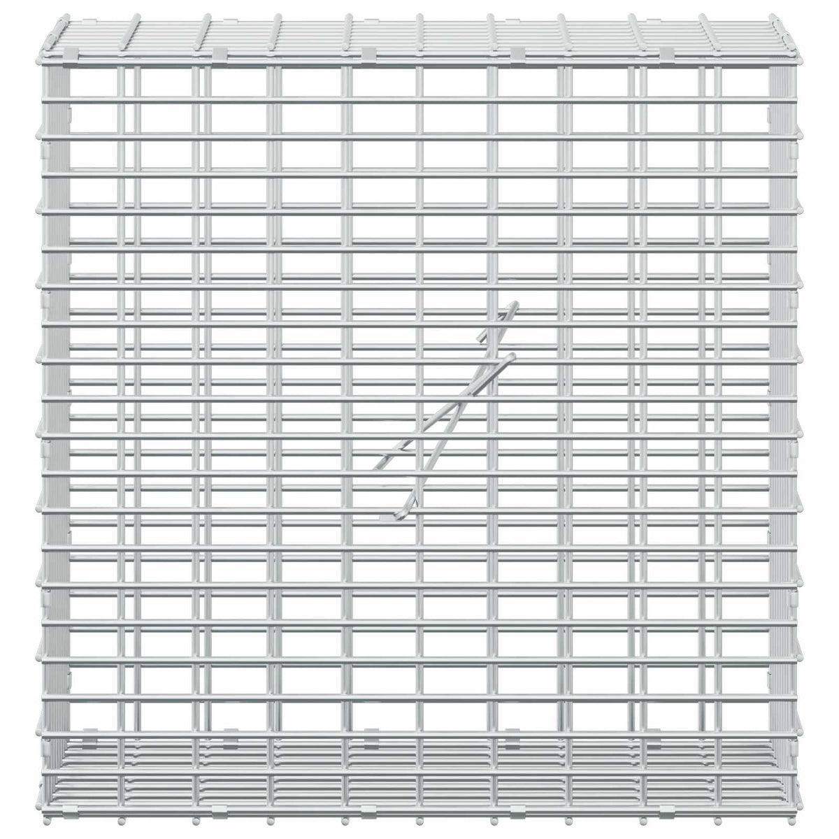 Gabion with 3.5 mm Wire and 5x2.5 cm Mesh 50x20x50 cm 50 cm