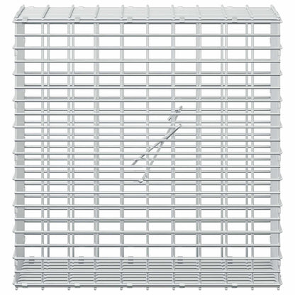 Gabion with 3.5 mm Wire and 5x2.5 cm Mesh 50x20x50 cm 50 cm