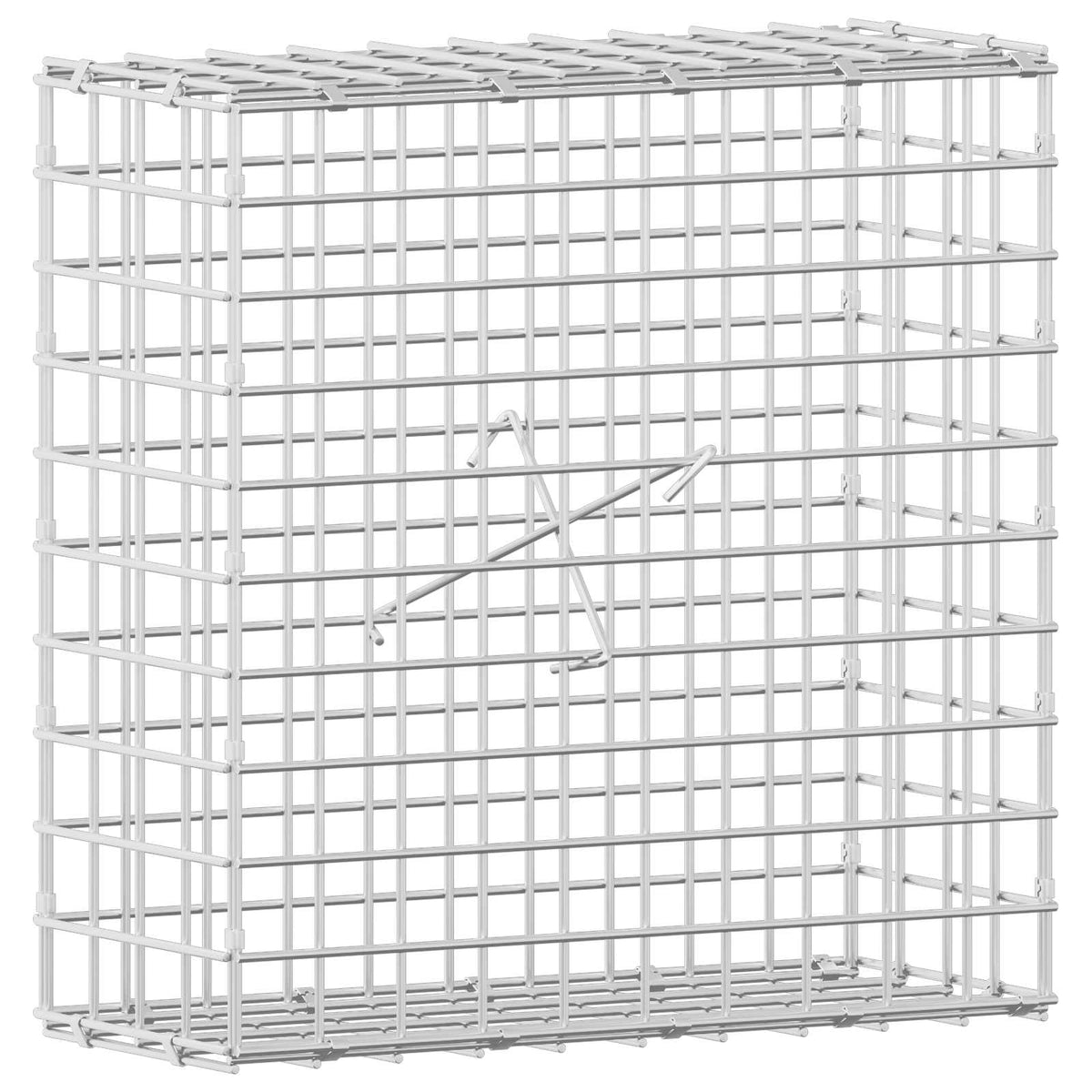 Gabion with 3.5 mm Wire and 5x5 cm Mesh 50x20x50 cm 50 cm