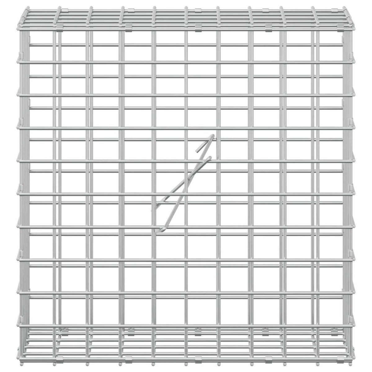 Gabion with 3.5 mm Wire and 5x5 cm Mesh 50x20x50 cm 50 cm
