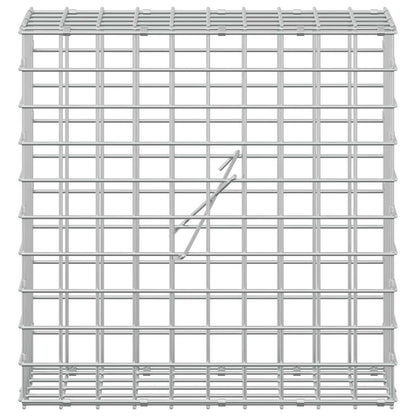 Gabion with 3.5 mm Wire and 5x5 cm Mesh 50x20x50 cm 50 cm
