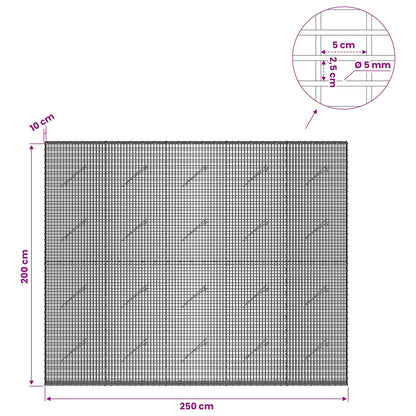 vidaXL Gabion with 5 mm Wire and 5x2.5 cm Mesh 250x10x200 cm 6