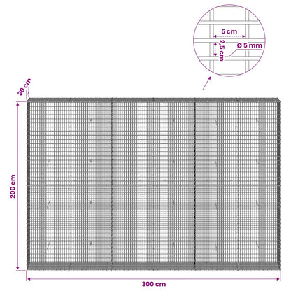 vidaXL Gabion with 5 mm Wire and 5x2.5 cm Mesh 300x30x200 cm 6