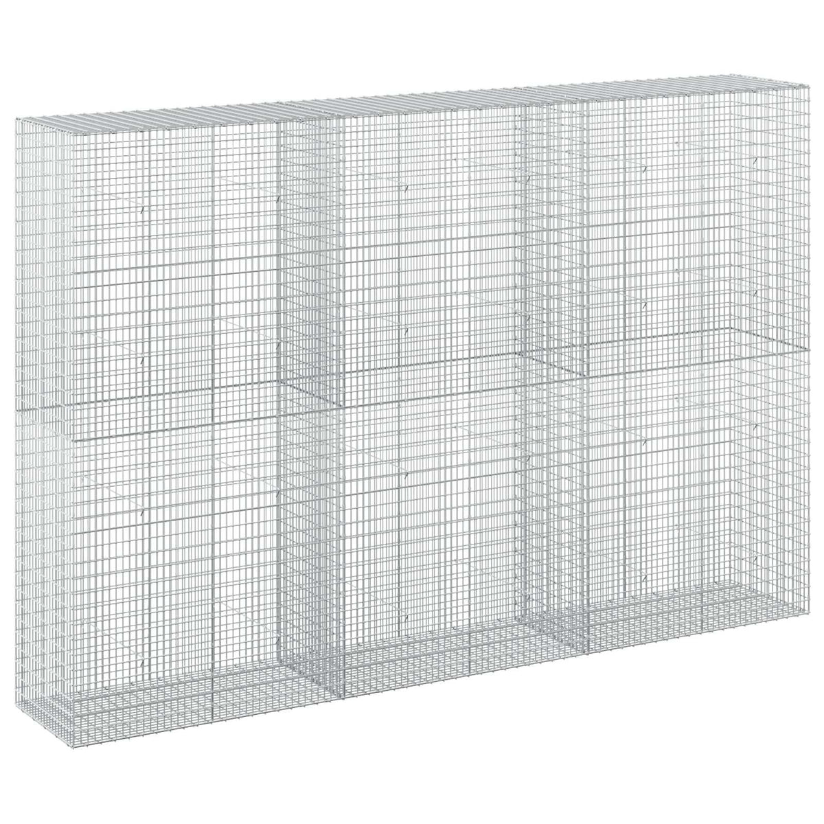 vidaXL Gabion with 5 mm Wire and 5x2.5 cm Mesh 300x50x200 cm 2