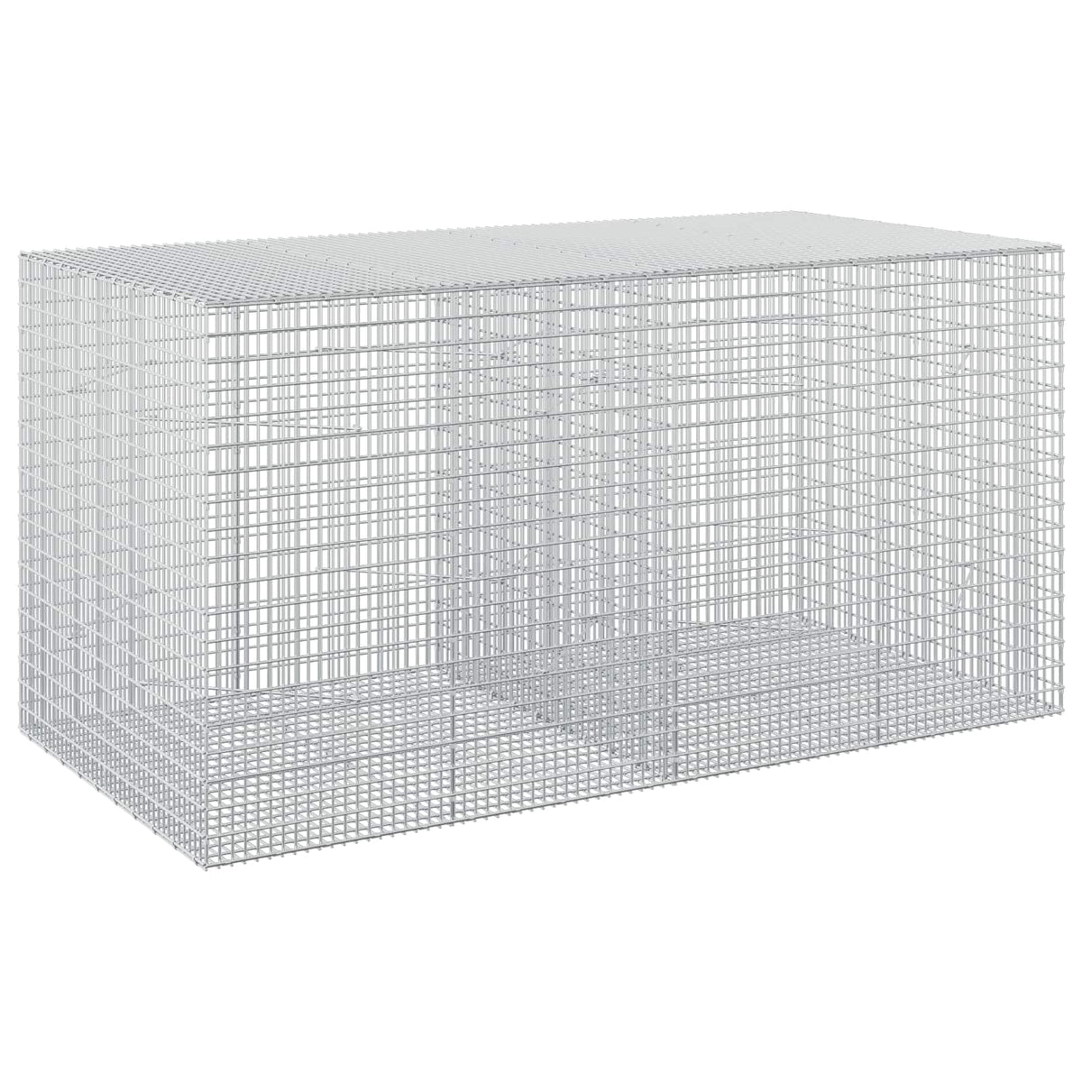 vidaXL Gabion with 5 mm Wire and 5x2.5 cm Mesh 200x100x100 cm 2