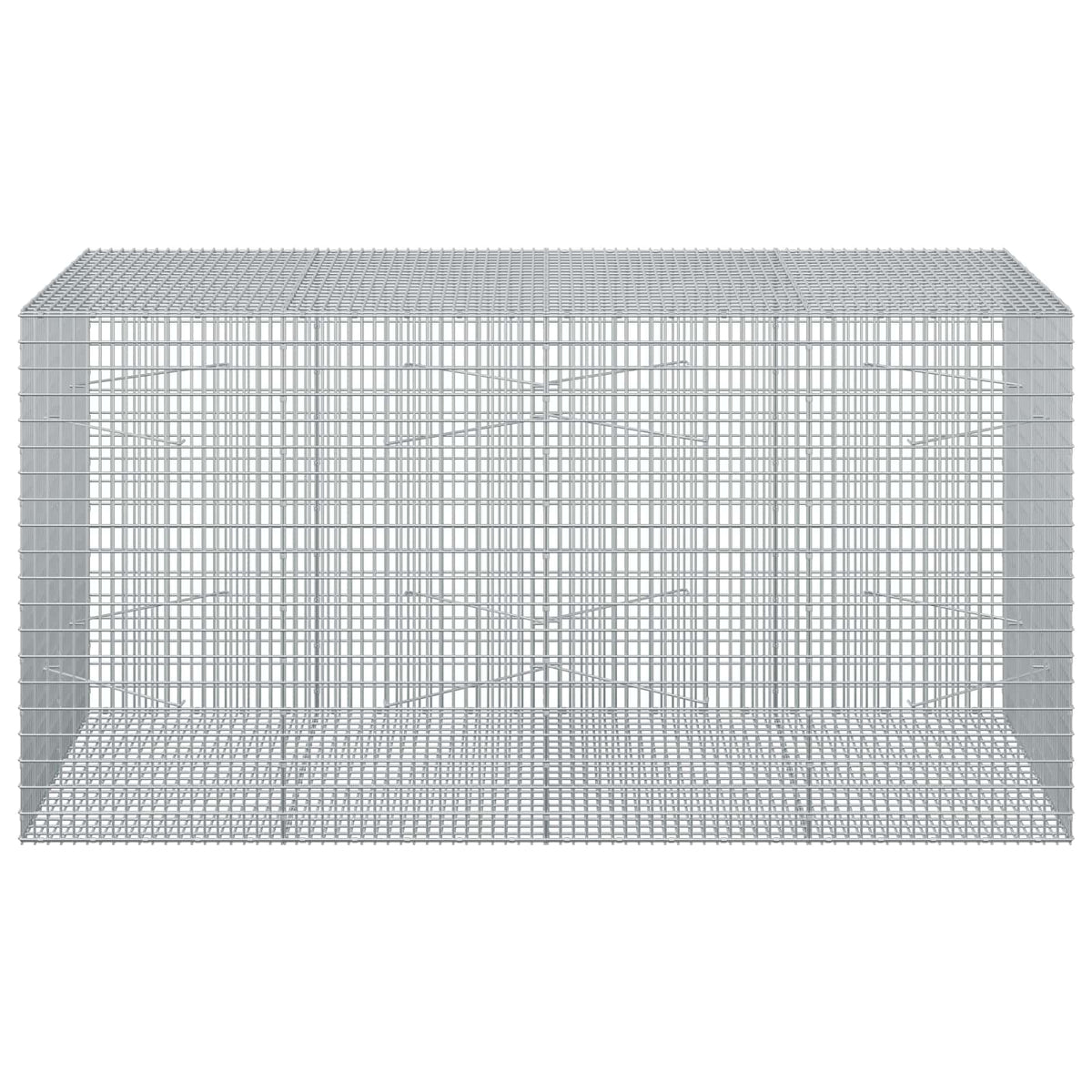 vidaXL Gabion with 5 mm Wire and 5x2.5 cm Mesh 200x100x100 cm 3