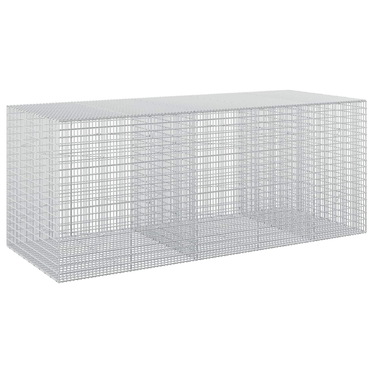 vidaXL Gabion with 5 mm Wire and 5x2.5 cm Mesh 250x100x100 cm 2