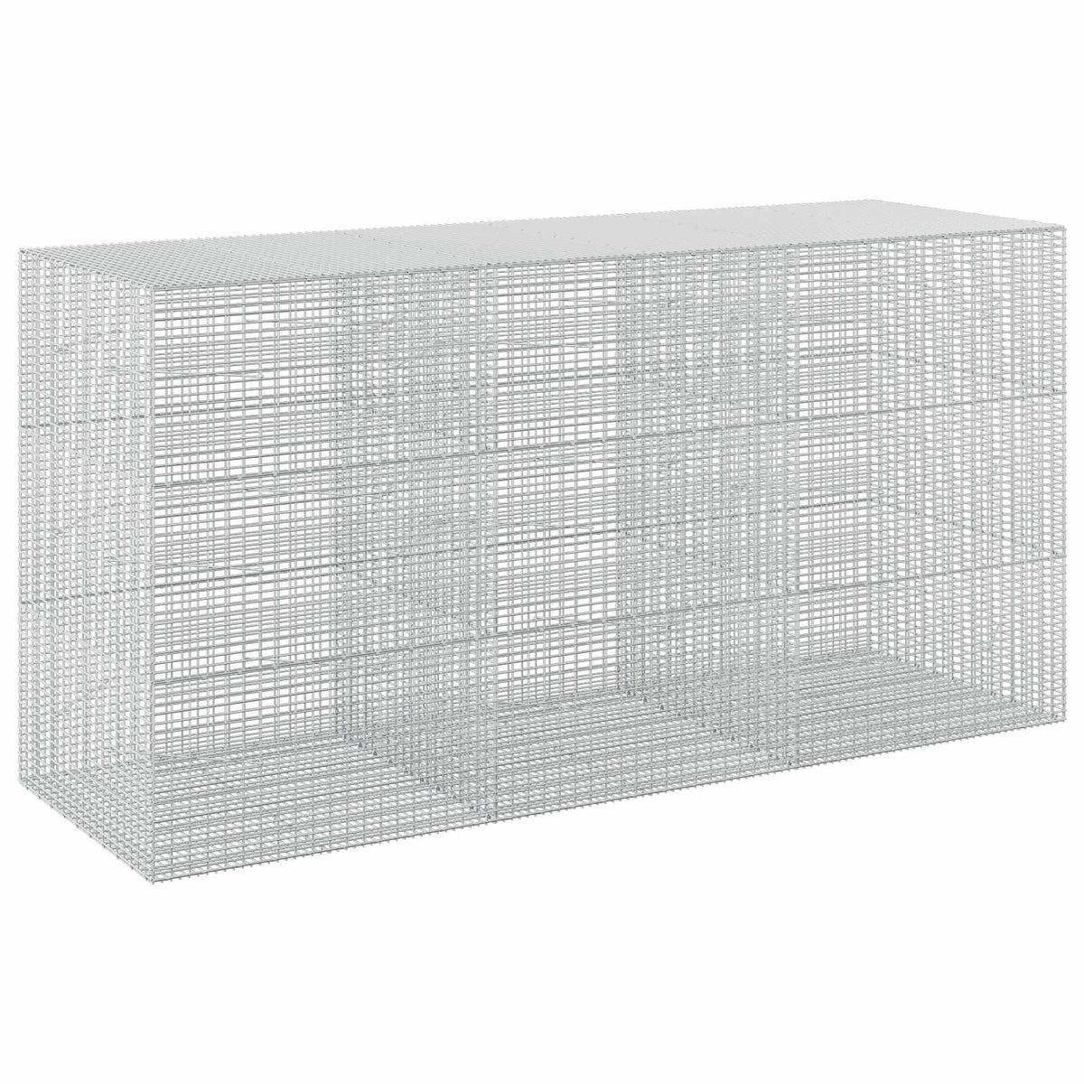 vidaXL Gabion with 5 mm Wire and 5x2.5 cm Mesh 300x100x150 cm 2