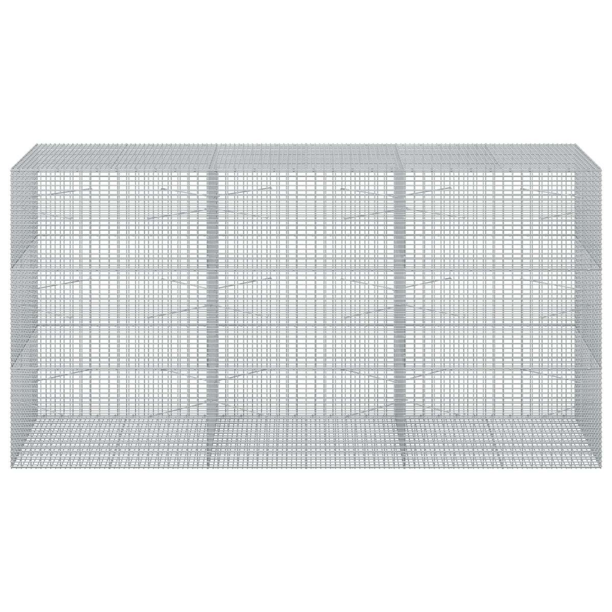 vidaXL Gabion with 5 mm Wire and 5x2.5 cm Mesh 300x100x150 cm 3