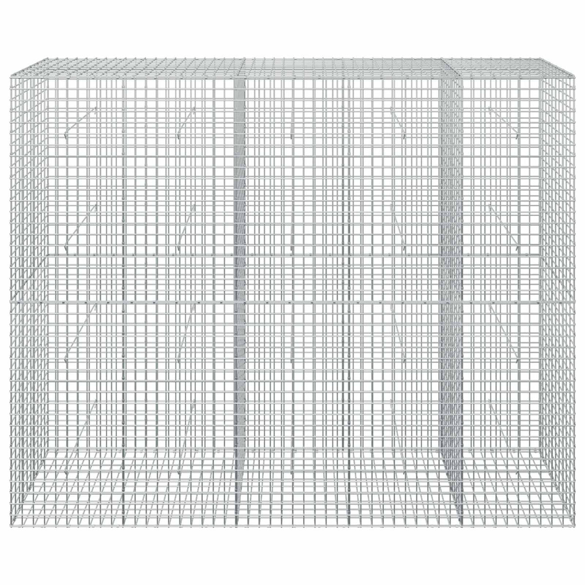 vidaXL Gabion with 5 mm Wire and 5x5 cm Mesh 250x50x200 cm 3