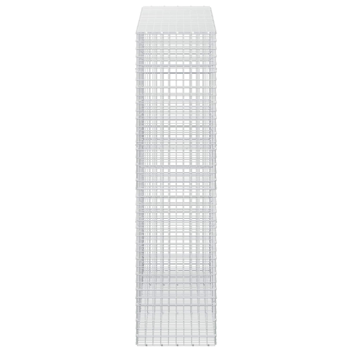vidaXL Gabion with 5 mm Wire and 5x5 cm Mesh 250x50x200 cm 4