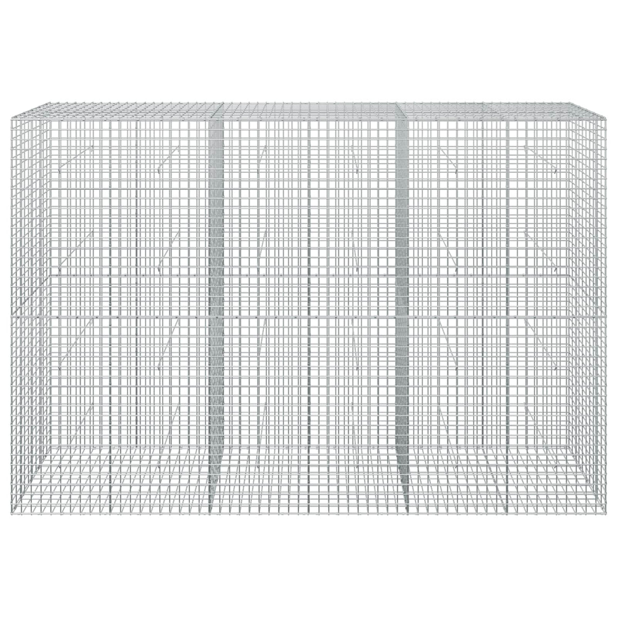 vidaXL Gabion with 5 mm Wire and 5x5 cm Mesh 300x50x200 cm 3