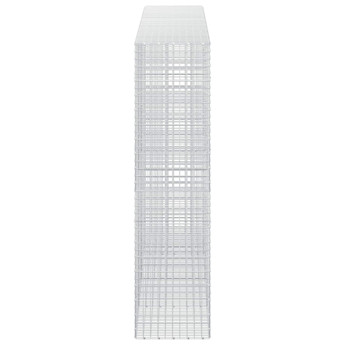 vidaXL Gabion with 5 mm Wire and 5x5 cm Mesh 400x50x200 cm 4