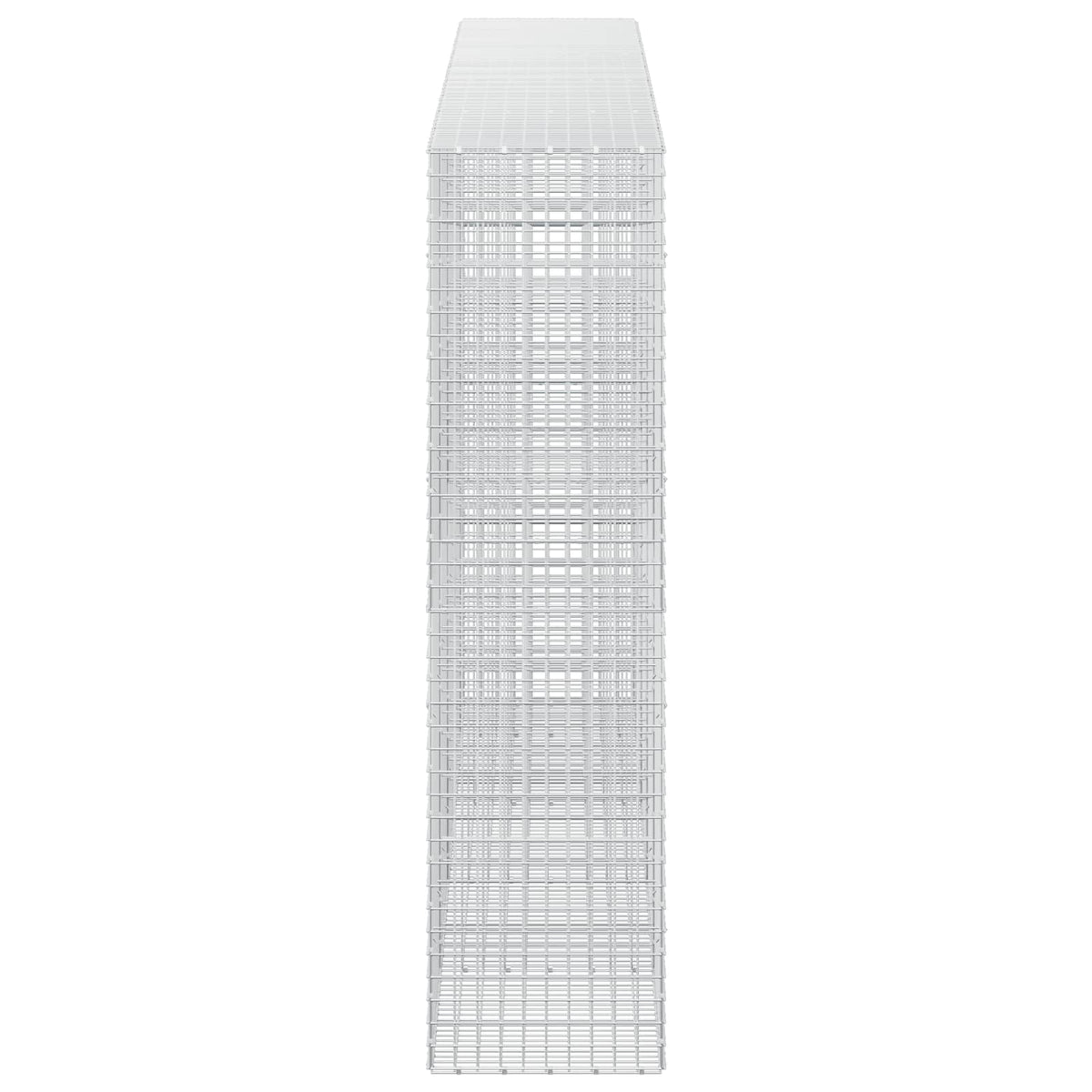 vidaXL Gabion with 5 mm Wire and 5x5 cm Mesh 450x50x200 cm 4