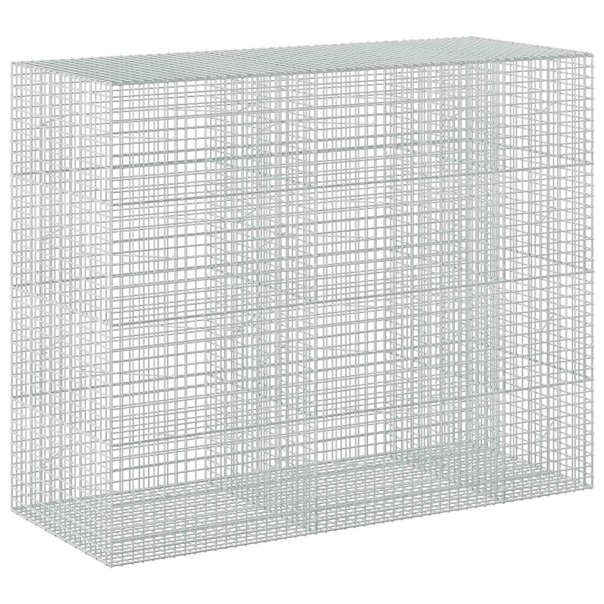 vidaXL Gabion with 5 mm Wire and 5x5 cm Mesh 250x100x200 cm 2