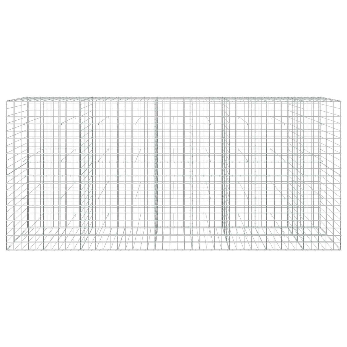 vidaXL Gabion with 5 mm Wire and 10x10 cm Mesh 450x30x200 cm 3