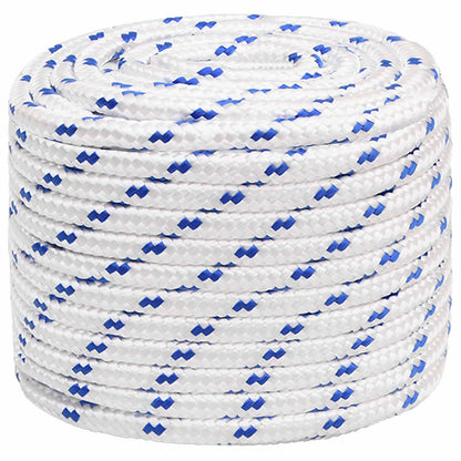 Multipurpose Utility Rope PP Length 100 m White and Blue 16 mm