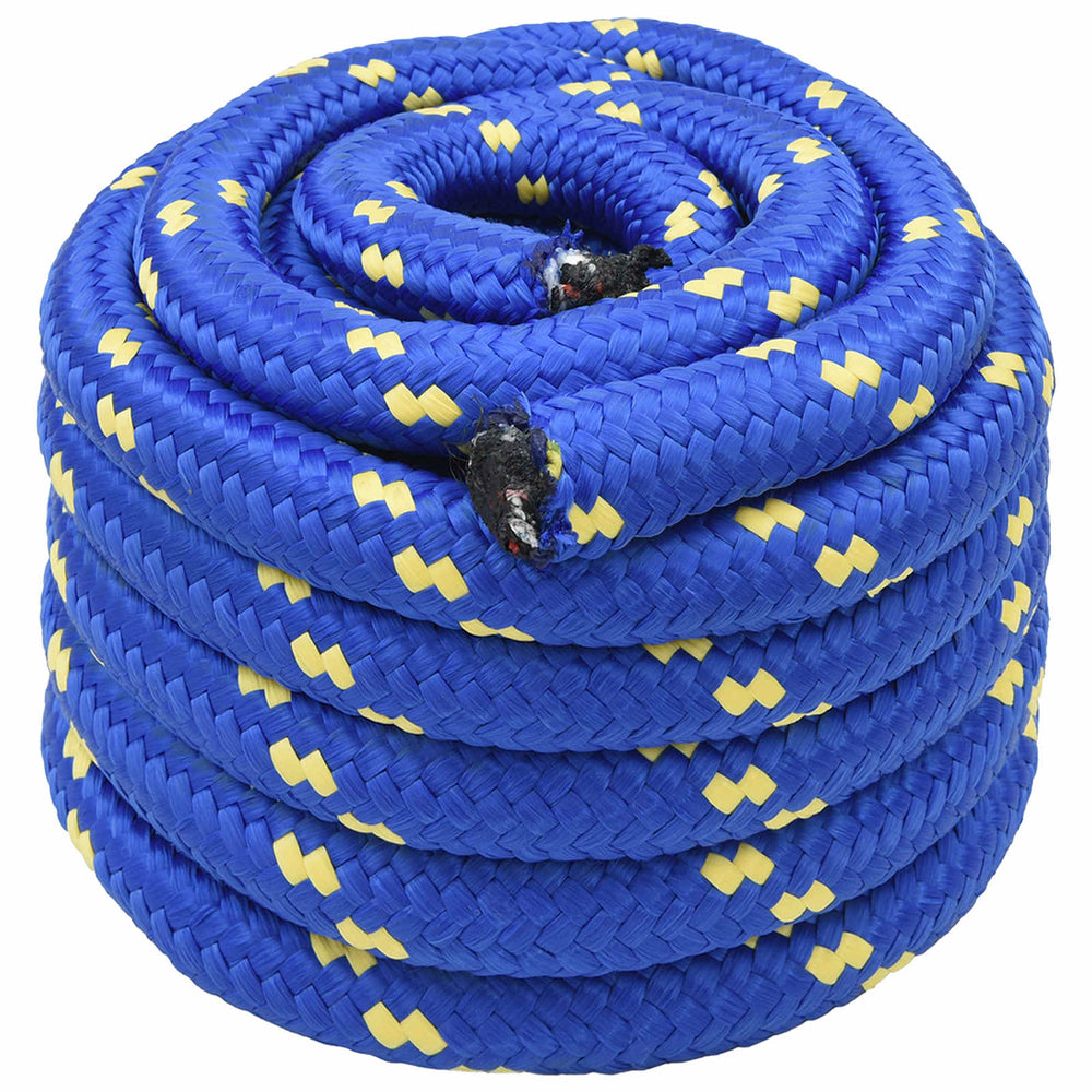 vidaXL Multipurpose Utility Rope PP 27 kg Max Load Length 25 m Blue