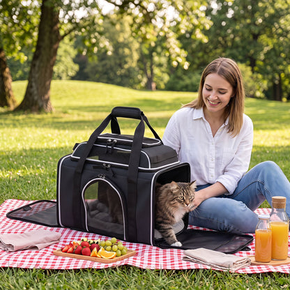 Airline Approved Rolling Cat and Dog Carrier with and Telescopic Handle-Black