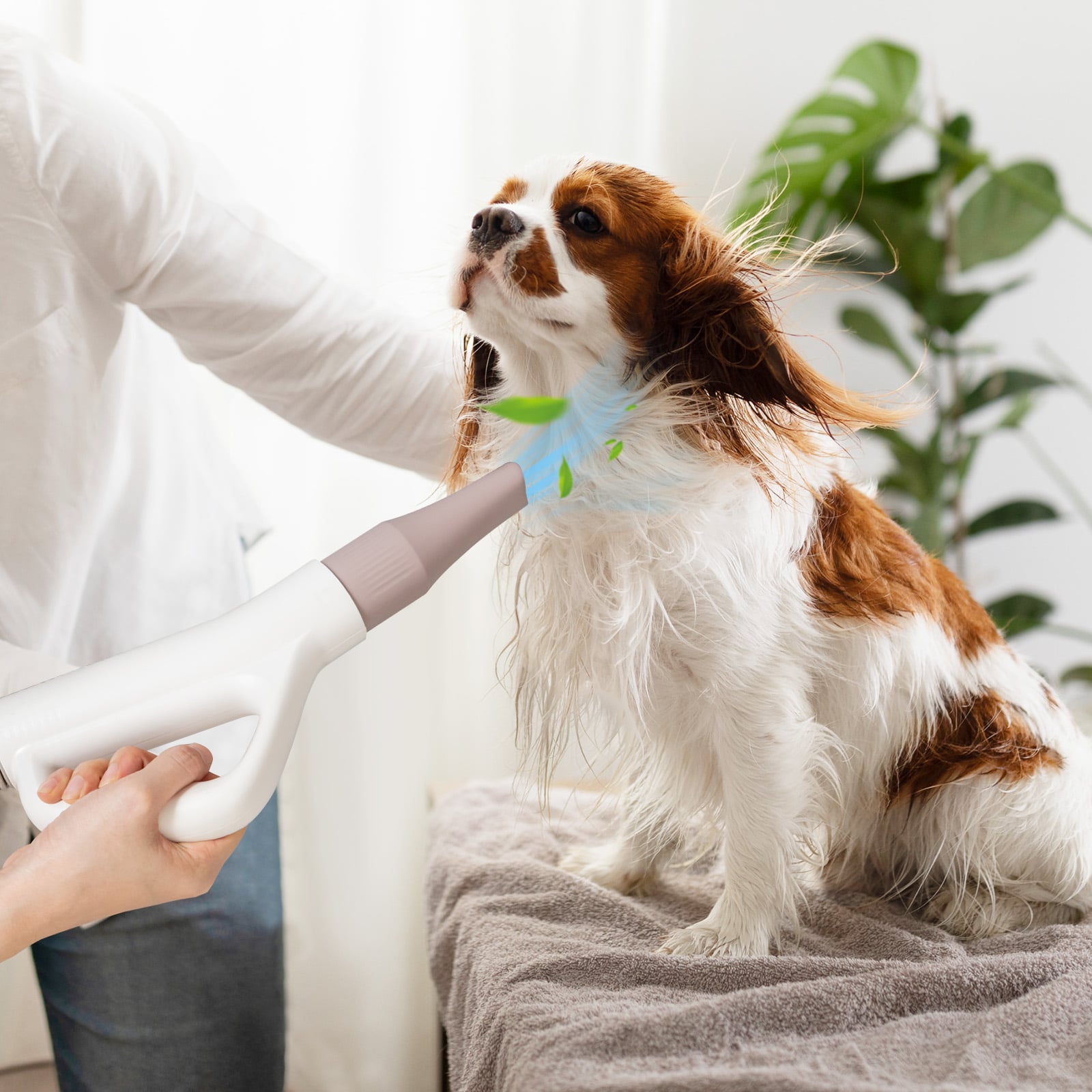 Dog Cat Hair Blower with Negative Ion Function