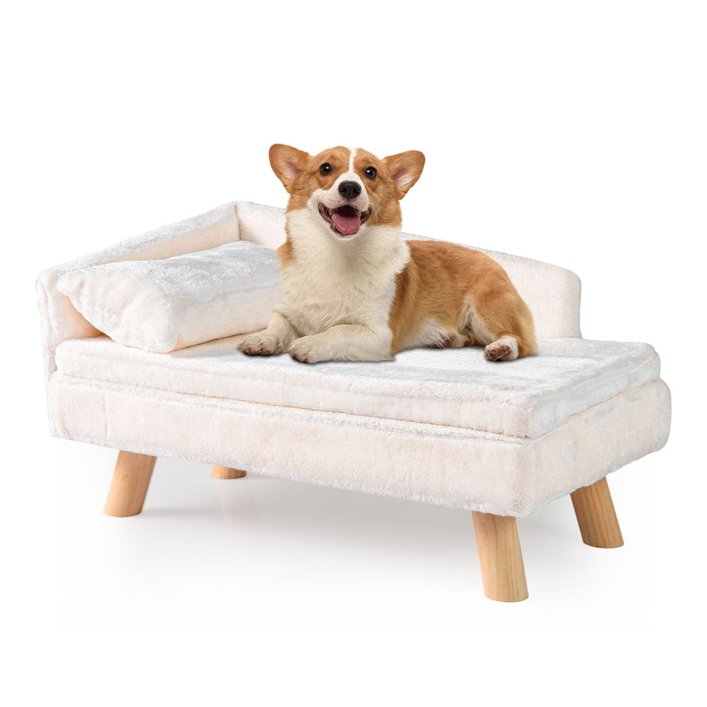 Elevated Pet Bed for Medium and Small Dogs Puppies Cats Kittens-Beige