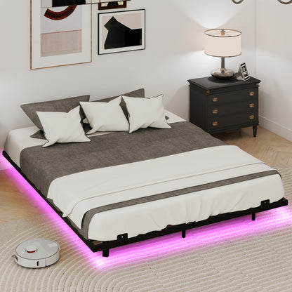 Double/King Size Floating Bed Frame Modern Metal Platform Bed with LED Lights-king size