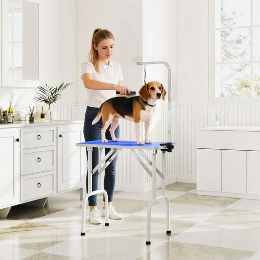 PawHut 32" Foldable Dog Grooming Table Pet Drying Beauty Table Adjustable Fixed Arm Rubber Top, Blue
