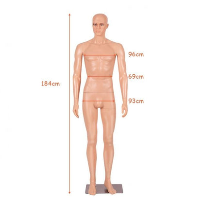 6 ft Male Mannequin Make-up Manikin with Metal Stand