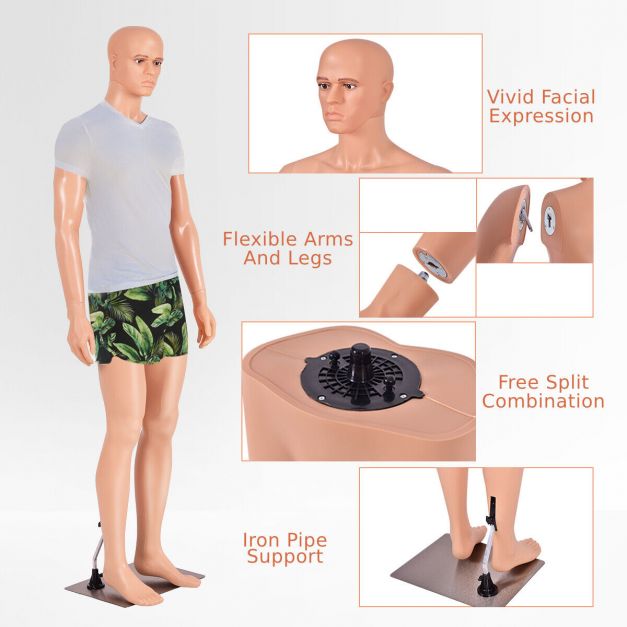 6 ft Male Mannequin Make-up Manikin with Metal Stand