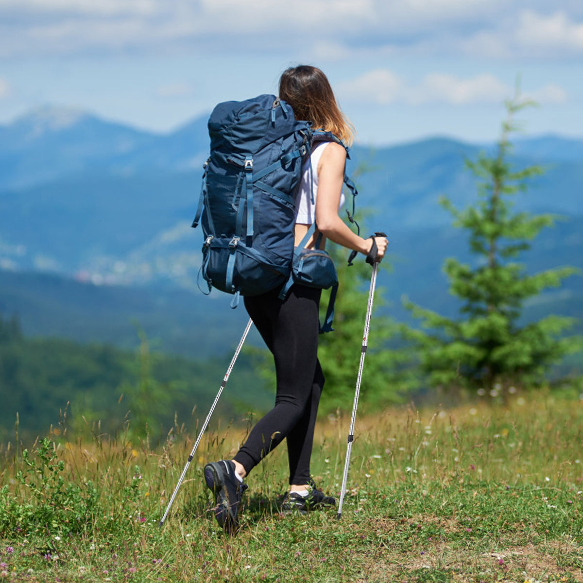 Hiking Pole Adjustable 65-135 cm-Silver