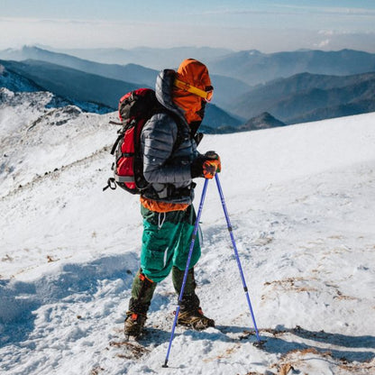 Hiking Pole Adjustable 65-135 cm-Navy