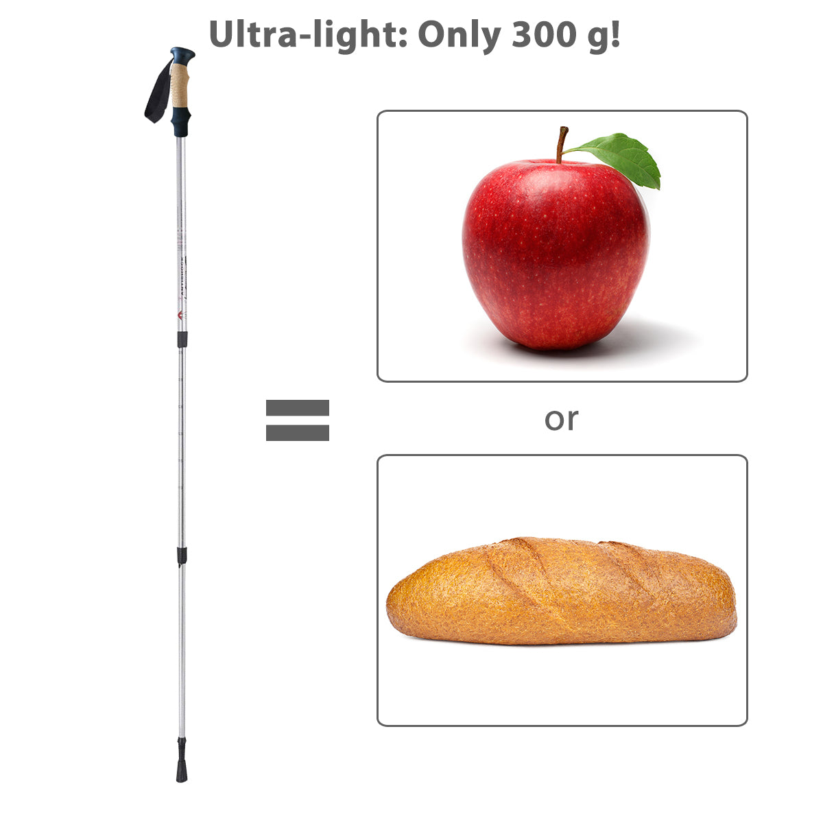 Hiking Pole Adjustable 65-135 cm-Silver