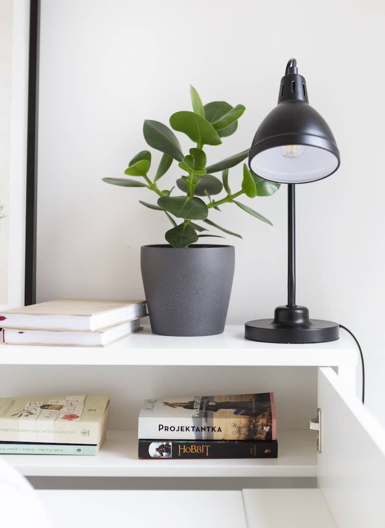 Black desk lamp and potted plant on a shelf with books